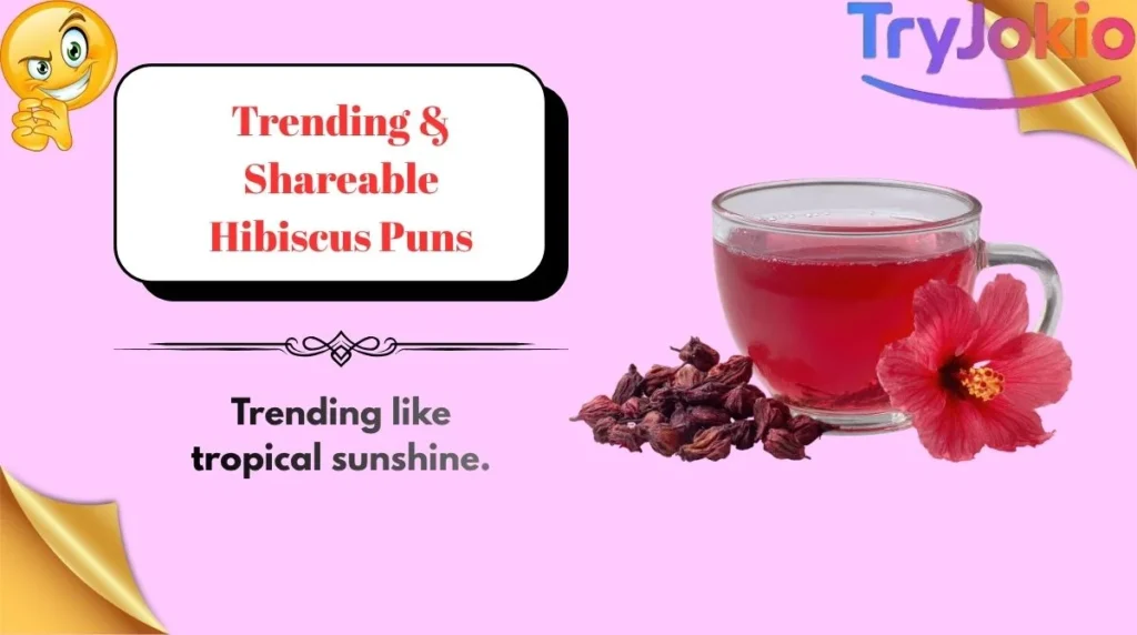 Trending & Shareable Hibiscus Puns