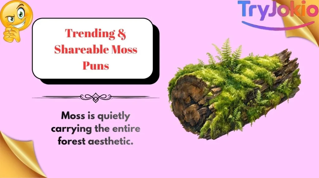Trending & Shareable Moss Puns