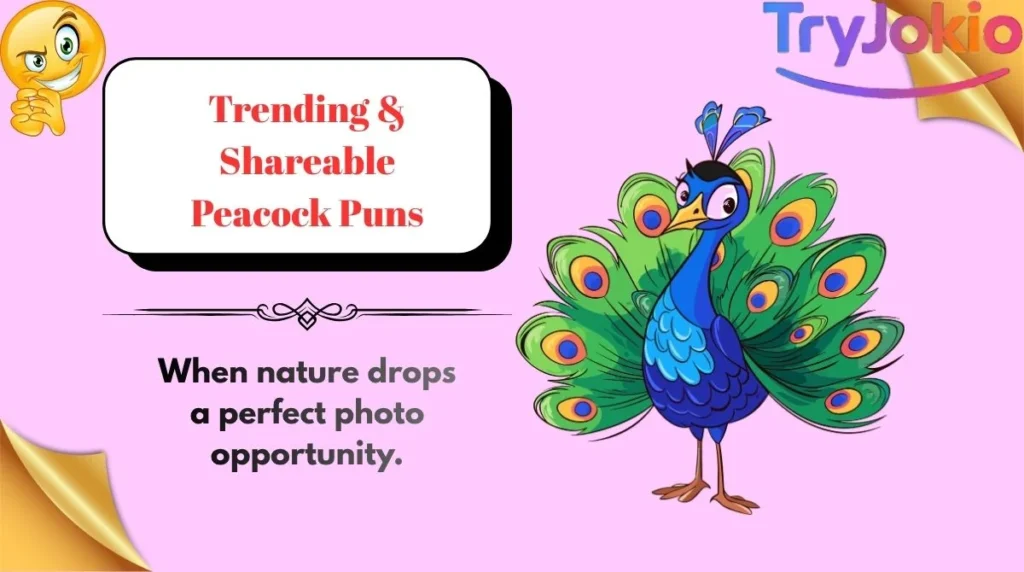 Trending & Shareable Peacock Puns