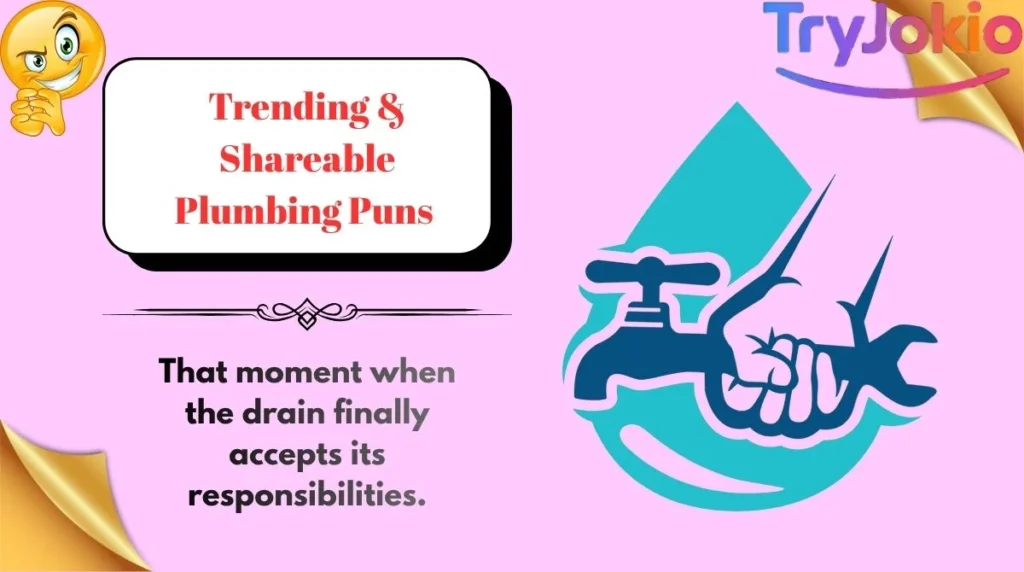 Trending & Shareable Plumbing Puns