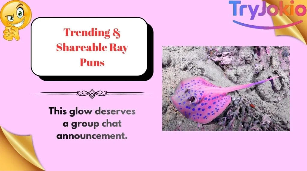 Trending & Shareable Ray Puns