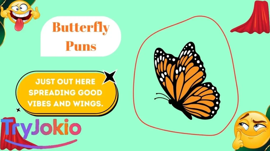 Butterfly Puns