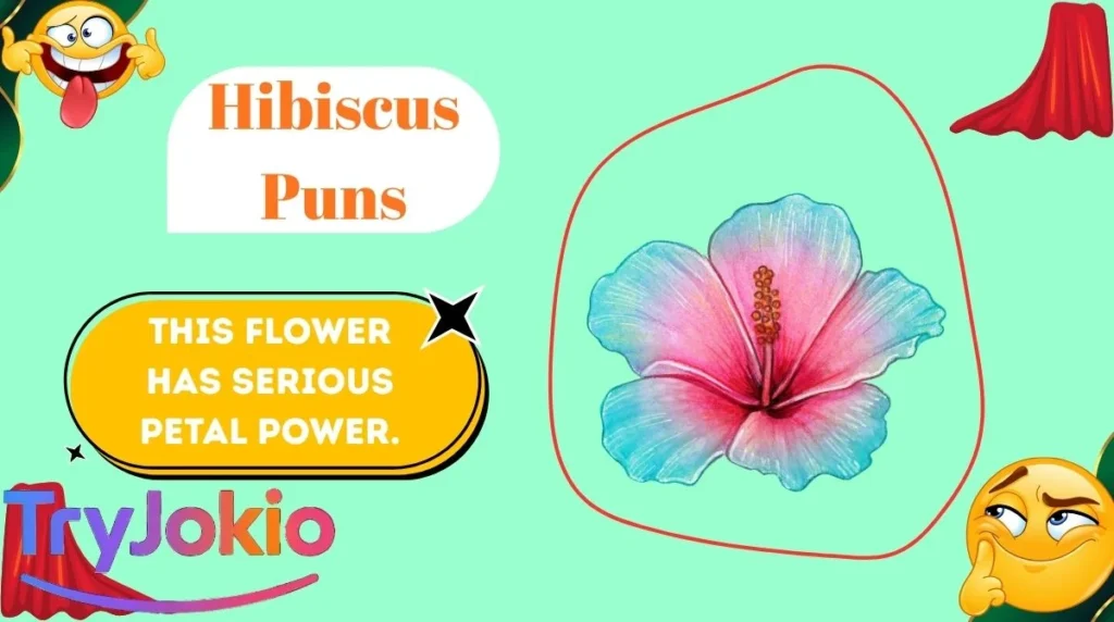Hibiscus Puns