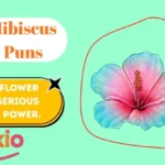Hibiscus Puns