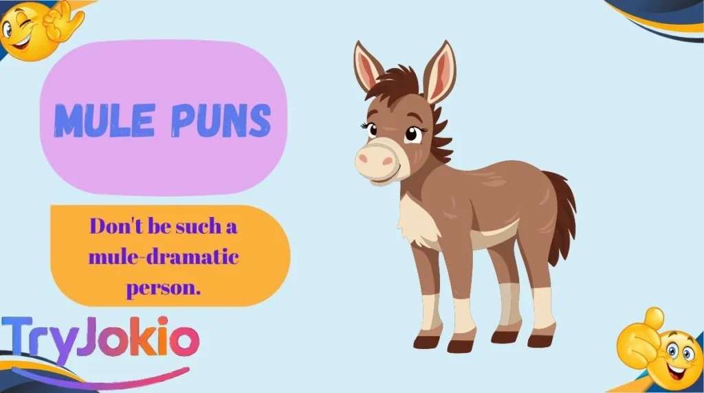 Mule Puns