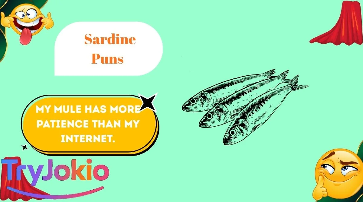Sardine Puns